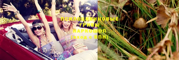 мескалин Шарыпово