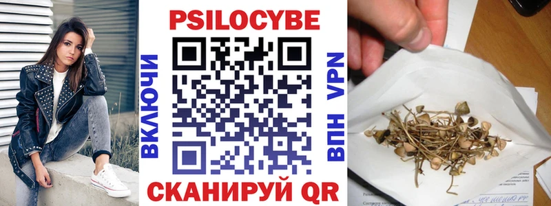 Галлюциногенные грибы MAGIC MUSHROOMS  Купить закладки  Терек 